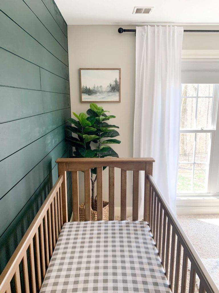 Dark green shiplap wall in baby boy nursery reveal, with wood crib, fiddle leaf tree in wicker basket, woodland print, white curtains for neutral theme